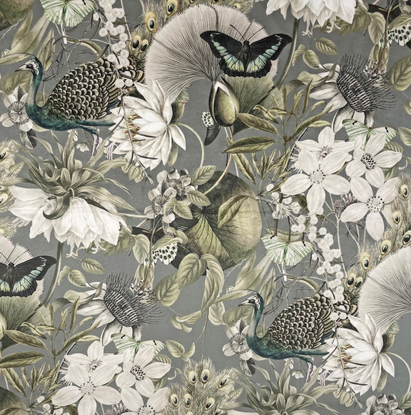 Peacock, butterfly Velvet cylinder lampshade, in grey, extra tall lampshade