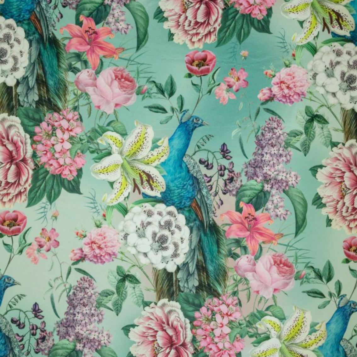Peacock floral velvet throw cushion, in duck egg. Scatter cushion