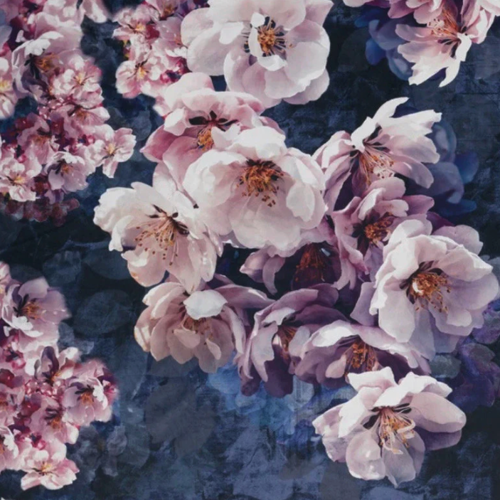 Jolanda floral velvet cushion, scatter cushions.